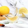 Manual Lemon Slice Squeezer, Portable Transparent Fruit Juicer, Orange Citrus Manual Bird Shape Hand Juicer for Orange Lemon Lime, for Kitchen (Color Box) ( default, Standard ).