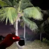 LED Battery Operated Keychain Flashlight with COB Light & Bottle Opener ( default, Standard ).